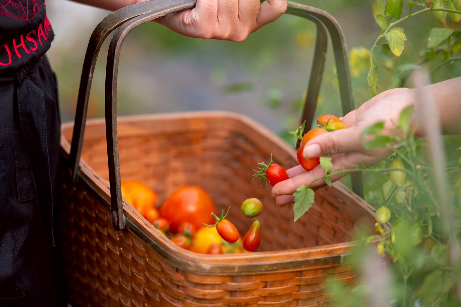 Supporting Local Ingredients