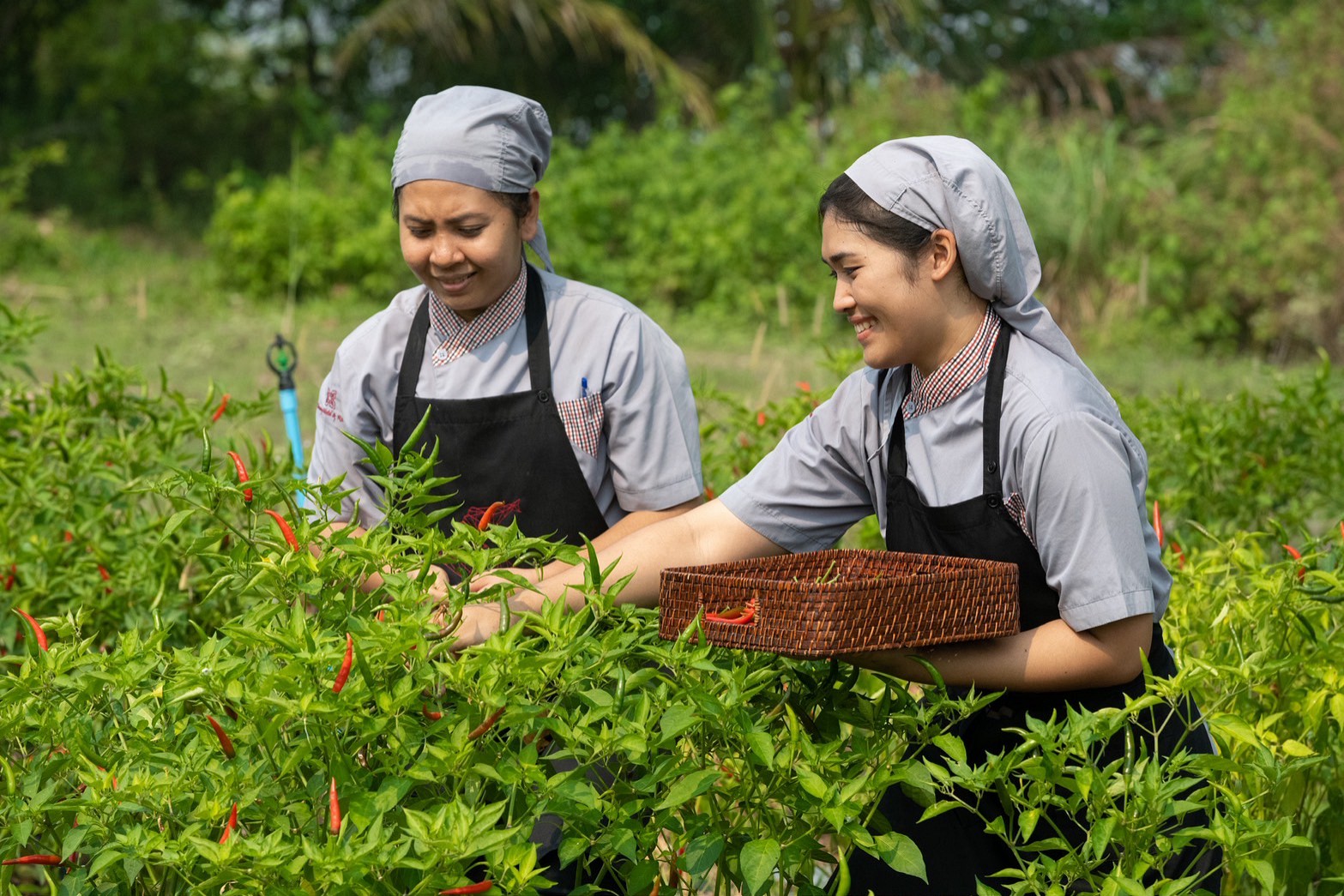 สนับสนุนวัตถุดิบจากชุมชนท้องถิ่น