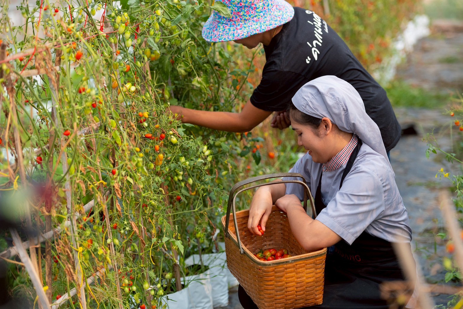 สนับสนุนวัตถุดิบจากชุมชนท้องถิ่น