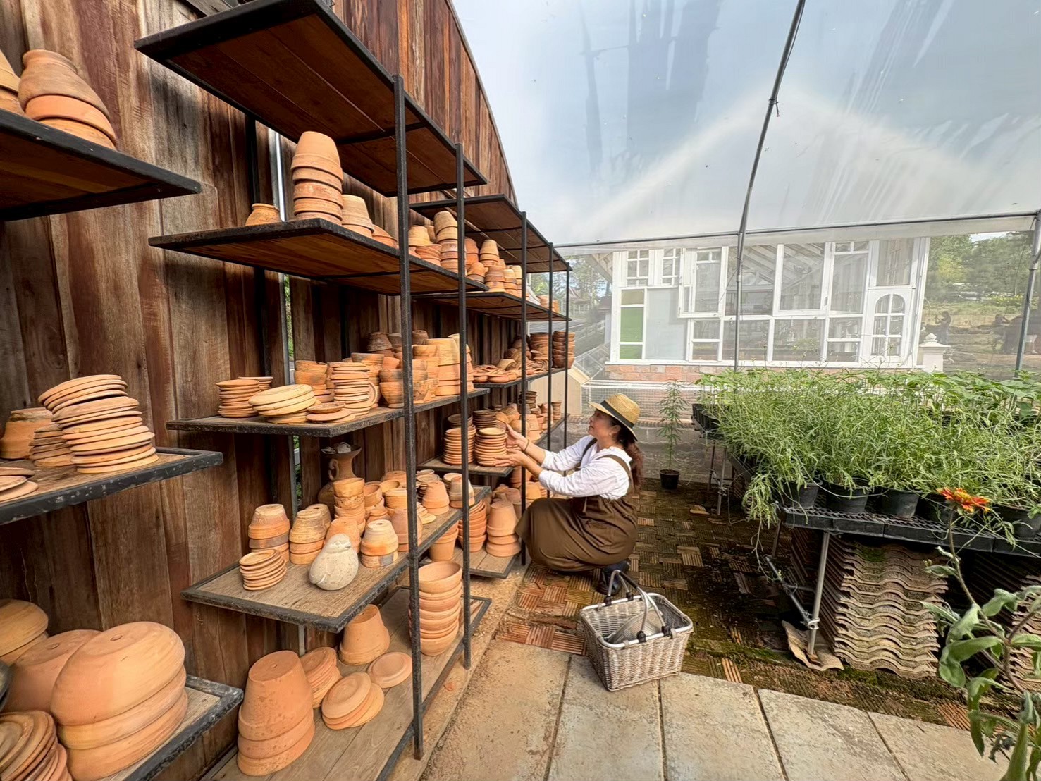 Visit Primrose Farm & Garden