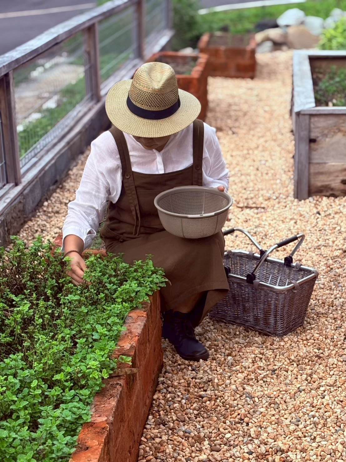 Visit Primrose Farm & Garden