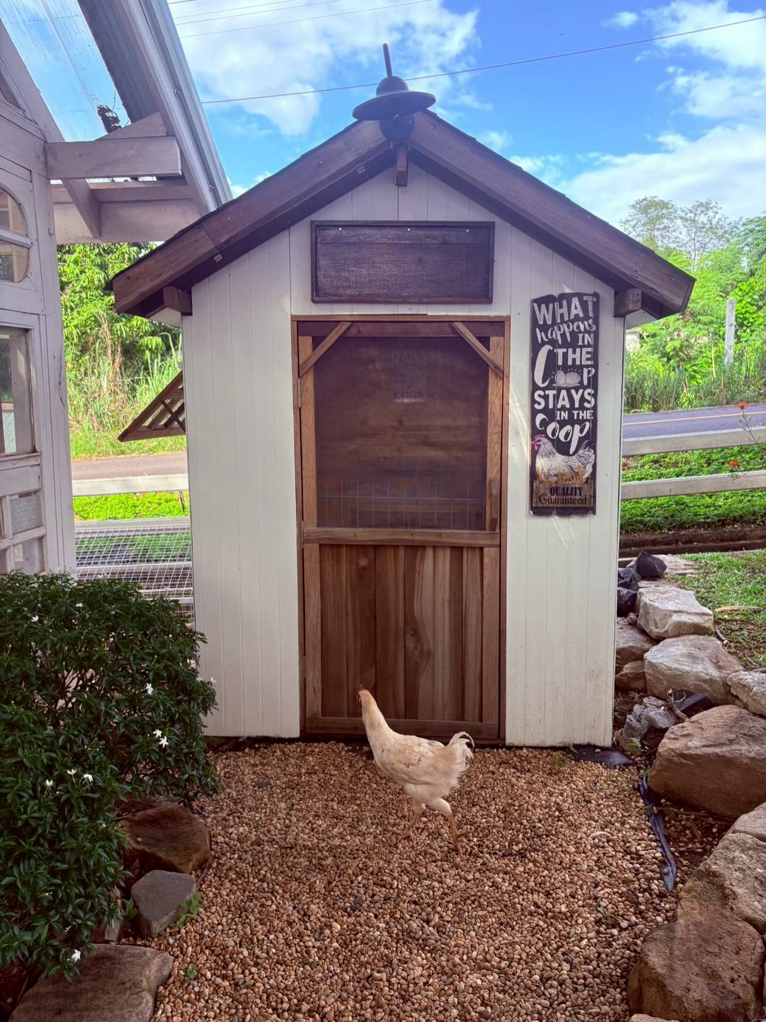 Visit Primrose Farm & Garden