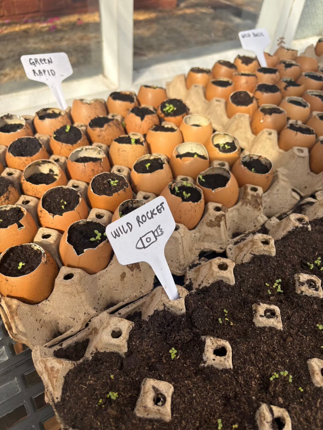 Visit Primrose Farm & Garden