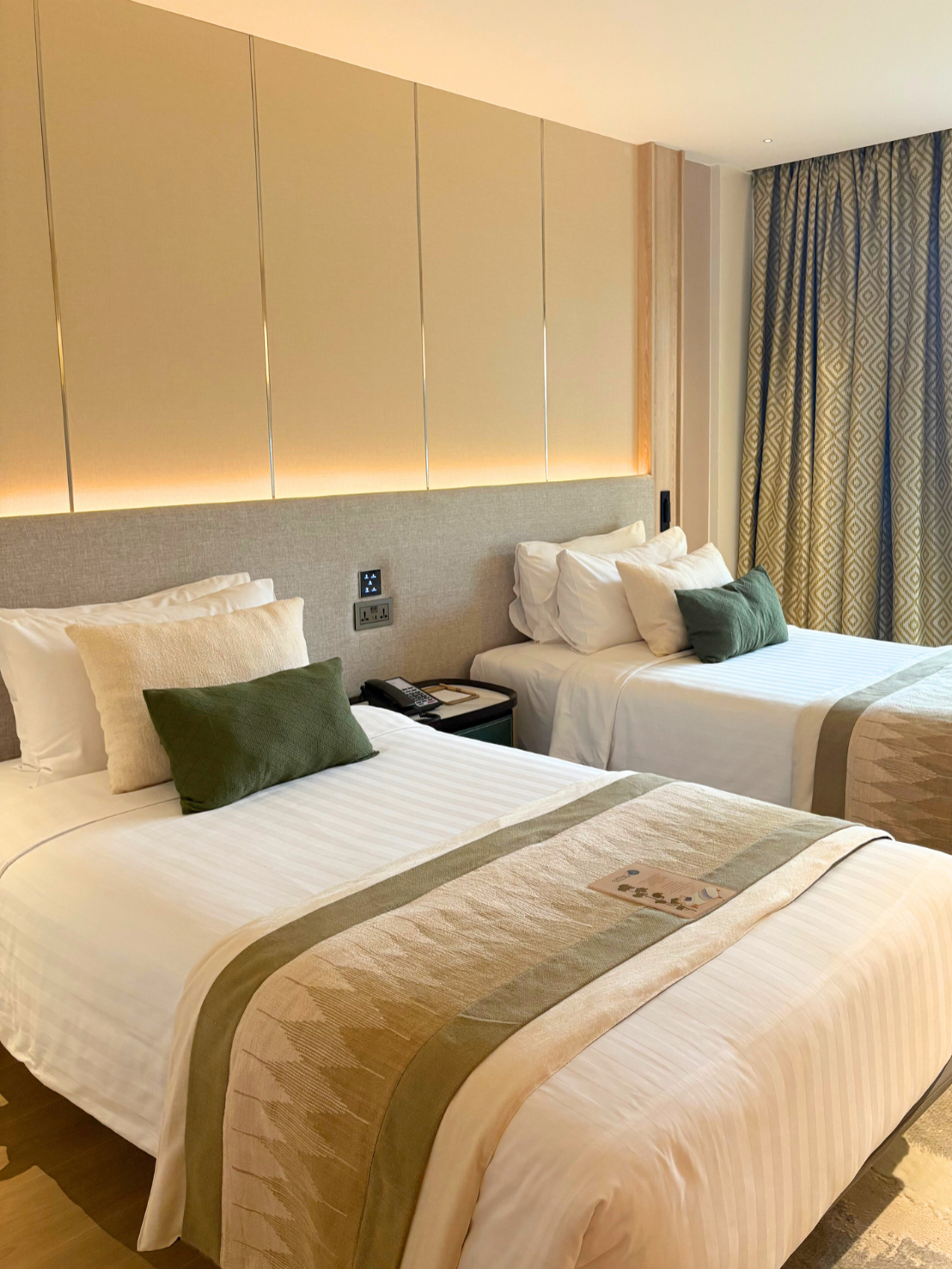 Superior Twin Room With River View